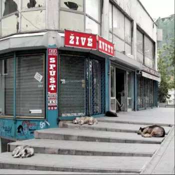 Živé Kvety: Spúšť