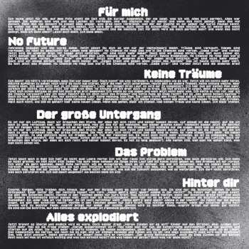 LP ZOi!s: Alles Explodiert LTD