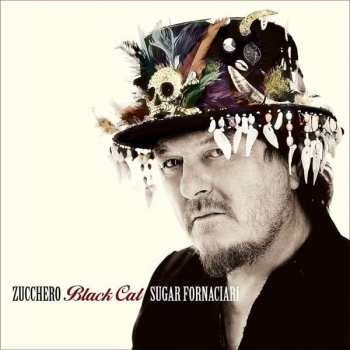 Album Zucchero: Black Cat